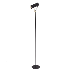 Modern Spot Floor Lamp in Matte Black and Gold with Adjustable Head