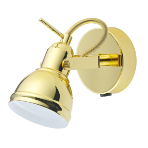 Unique Industrial Designed Polished Gold Switched Wall Spot Light