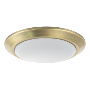 Contemporary Antique Brass Flush LED Bathroom Ceiling Light Fitting