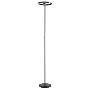 RGB and CCT Modern LED Halo Ring Black Floor Lamp with Remote Control