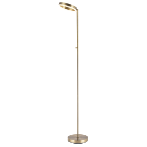 Modern LED Halo Ring Floor Lamp in Antique Brass with CCT Dimmer